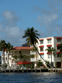 Ft. lauderdale palms