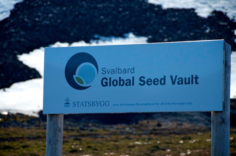 DSC_0643 Svalbard 2011-07-09 13.25.10