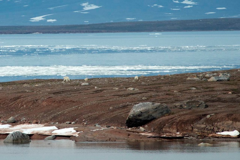 DSC_0890 Svalbard 2011-07-11 08.50.09
