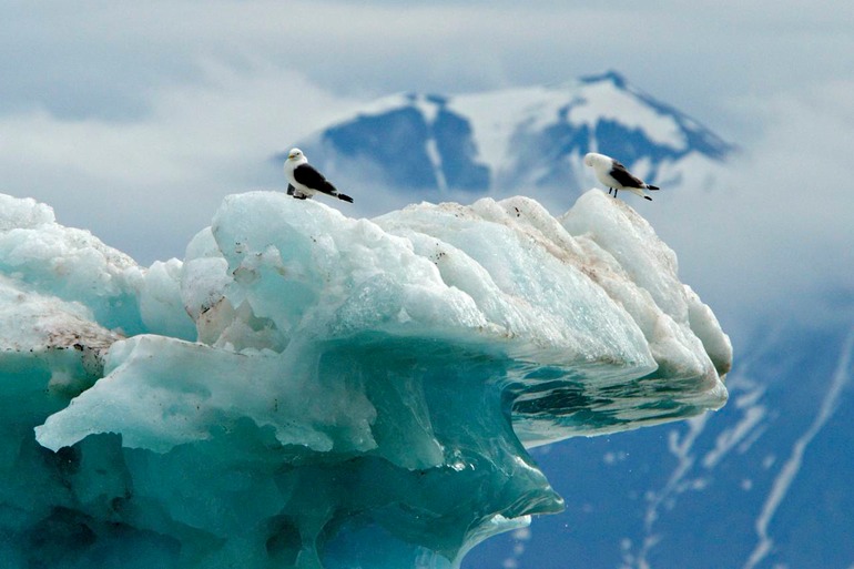 DSC_1017 Svalbard 2011-07-11 12.25.02