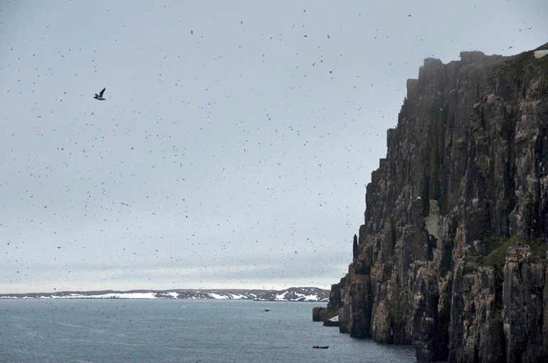 DSC_1366 Svalbard 2011-07-12 06.24.06