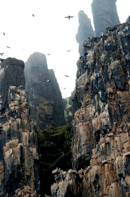 DSC_1408 Svalbard 2011-07-12 06.37.46