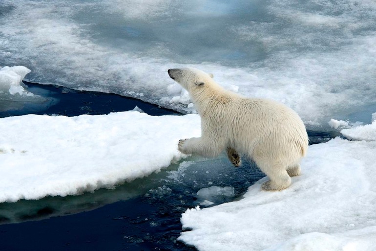 DSC_1852 Svalbard 2011-07-13 08.41.34
