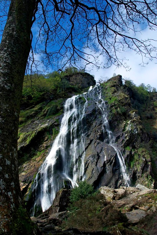 DSC_2499 Ireland 2011-04-15 10.45.57