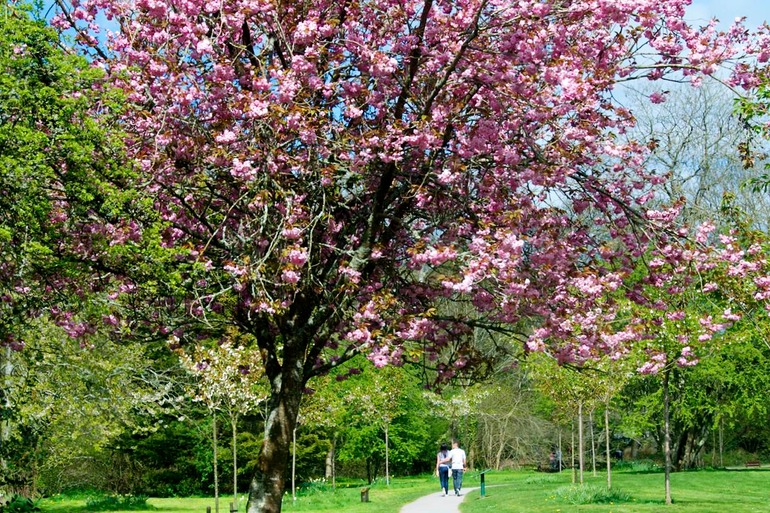DSC_2768 Ireland 2011-04-16 14.40.03