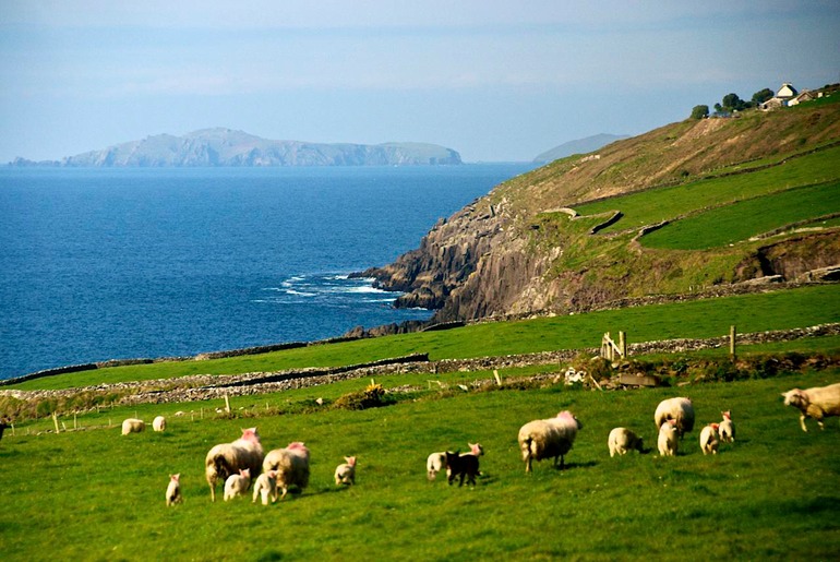 DSC_2819 Ireland 2011-04-17 10.38.10