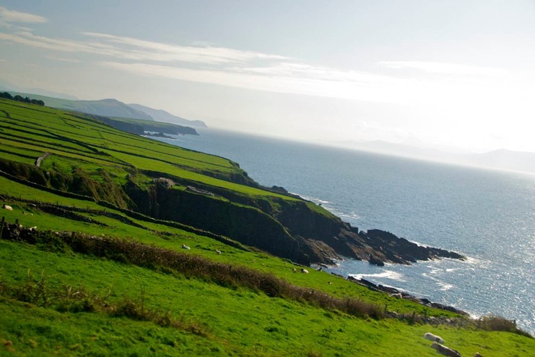 DSC_2823 Ireland 2011-04-17 10.40.24