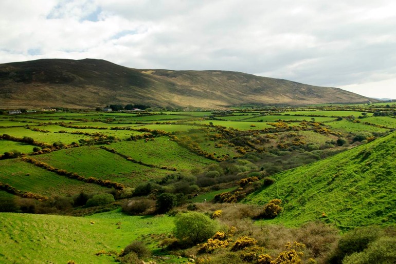 DSC_2926 Ireland 2011-04-17 16.45.29
