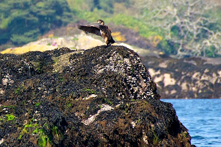 DSC_3002 Ireland 2011-04-18 12.09.24