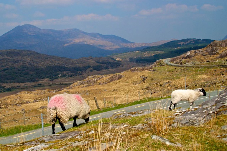 DSC_3022 Ireland 2011-04-18 14.34.32