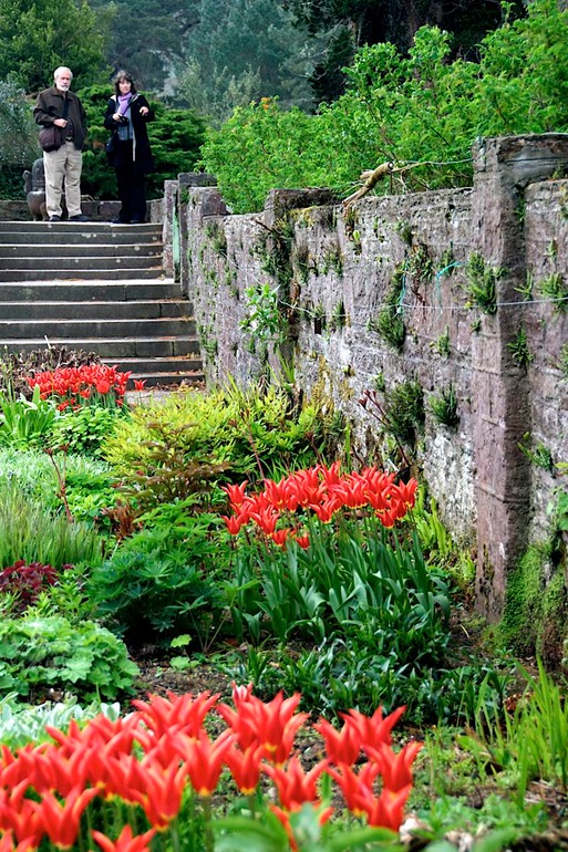DSC_3095 Ireland 2011-04-19 10.52.30