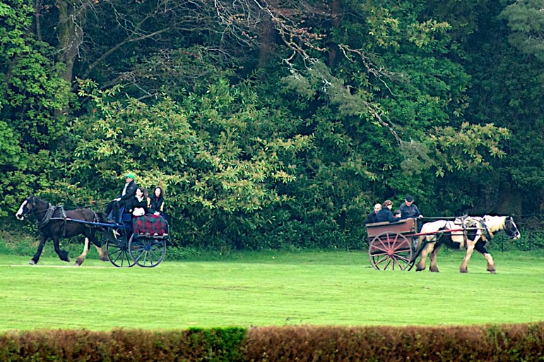 DSC_3099 Ireland 2011-04-19 10.54.18