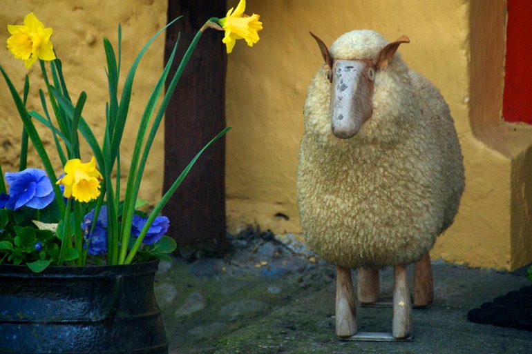 DSC_3125 Ireland 2011-04-19 13.34.33