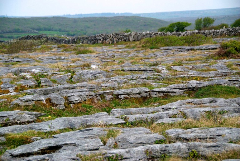 DSC_3196 Ireland 2011-04-20 10.21.11