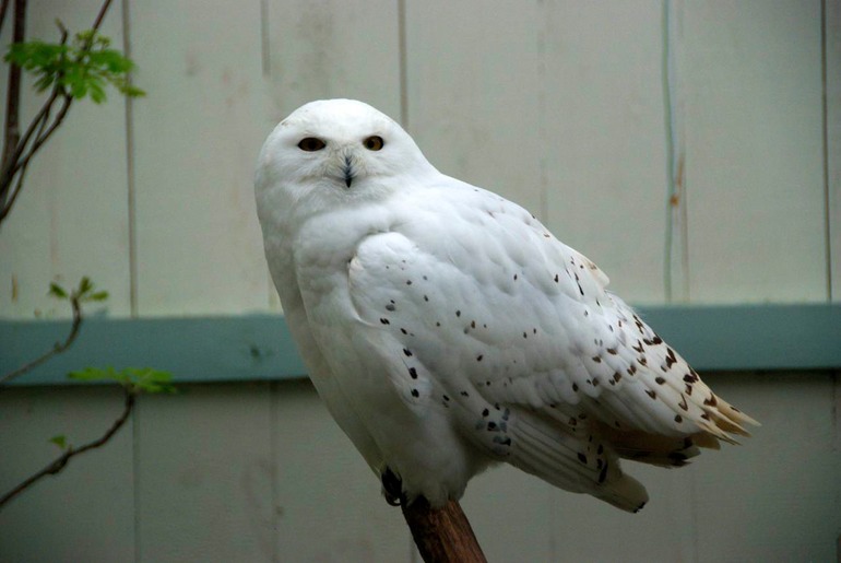 DSC_3239 Ireland 2011-04-20 11.25.37