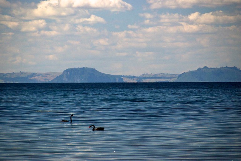 DSC_5625 NZ2010 2010-02-22 15.45.14