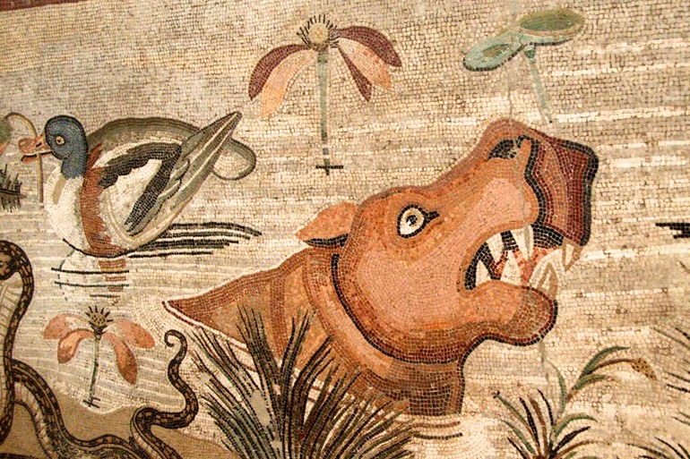 DSC_5676 Italy 2011-10-10 10.38.45