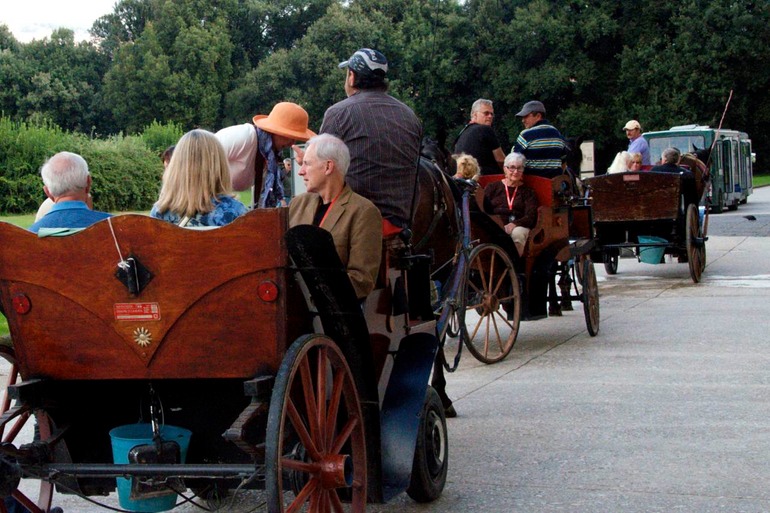 DSC_6257 Italy 2011-10-13 13.17.06