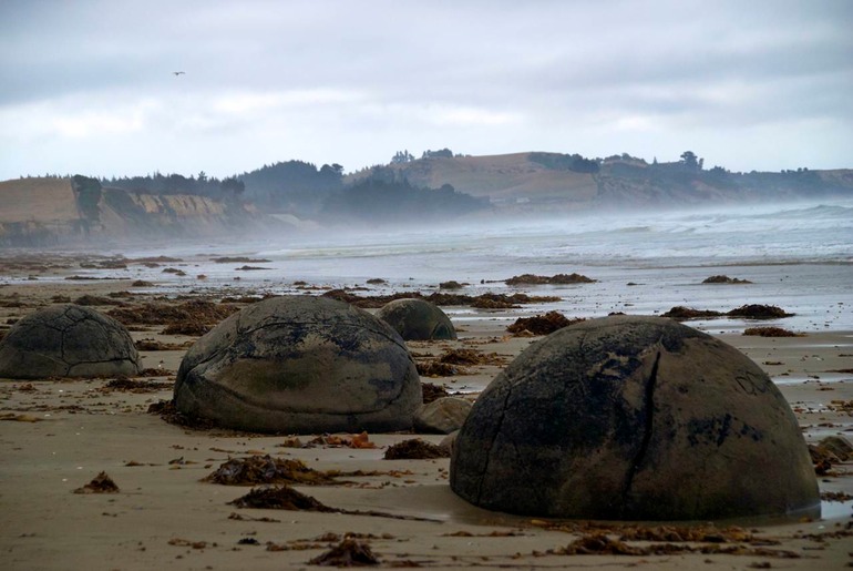 DSC_6529 NZ2010 2010-03-09 16.52.33