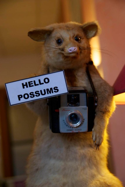 DSC_6807 NZ2010 2010-03-12 10.43.36