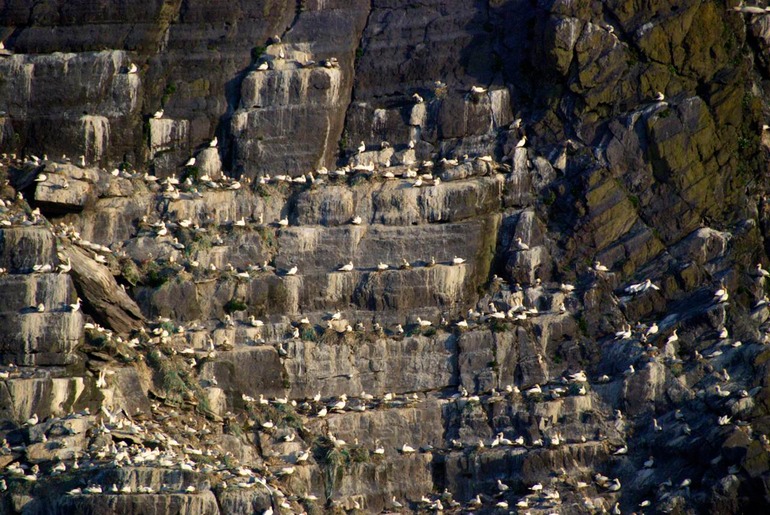 DSC_7418 UK Ireland 2010-05-03 07.08.42