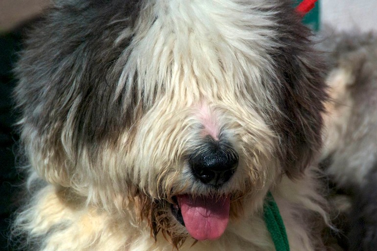 DSC_7720 UK Ireland 2010-05-03 15.43.06