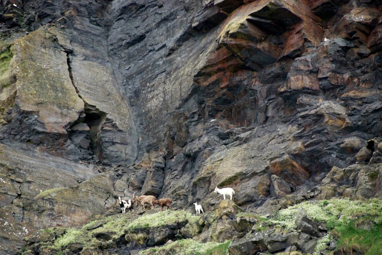 DSC_7932 UK Ireland 2010-05-04 17.00.37
