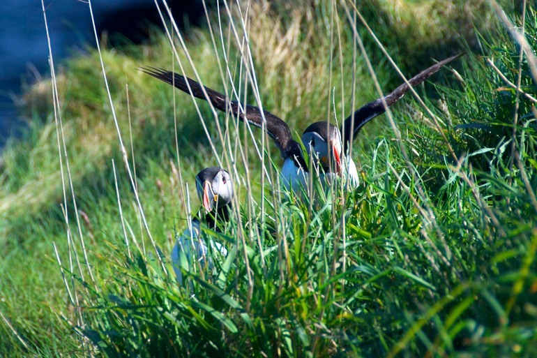DSC_8464 UK Ireland 2010-05-06 15.20.14