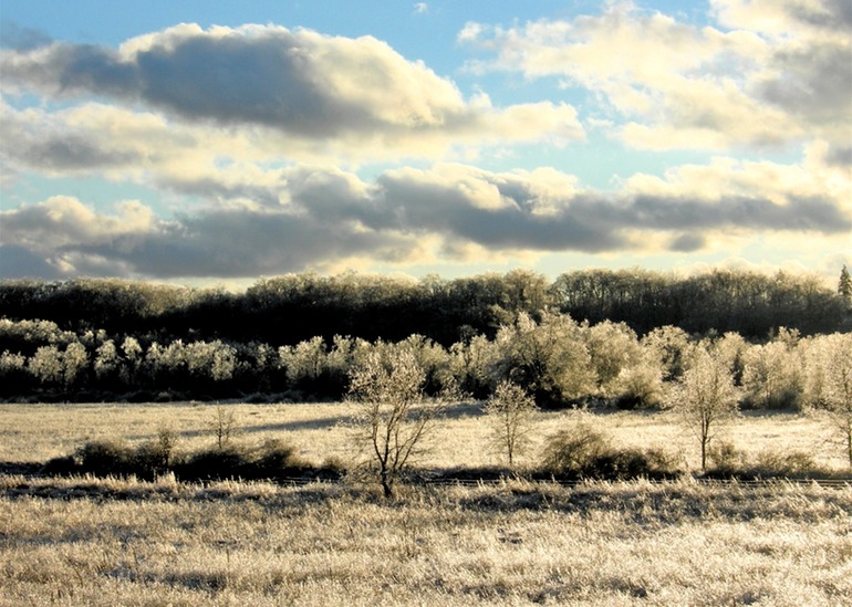 Field, Forest, and Clouds