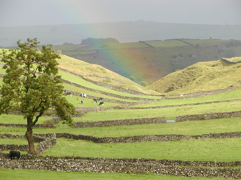 Dales Rainbow