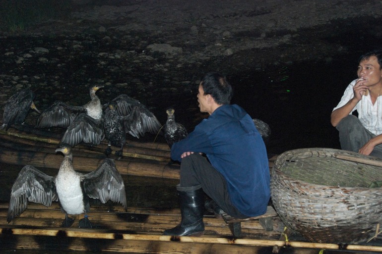 Waiting for the Next Tour Boat